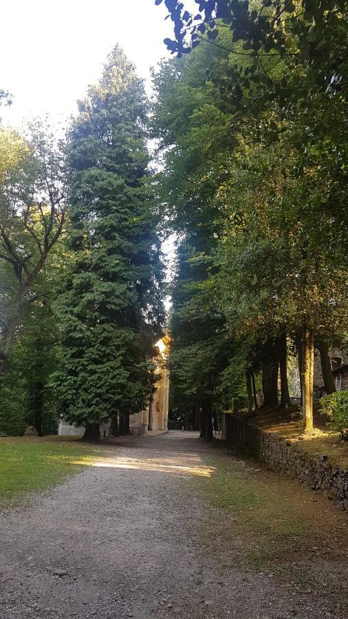 Guest House Seme Di Faggio Miasino Exterior foto